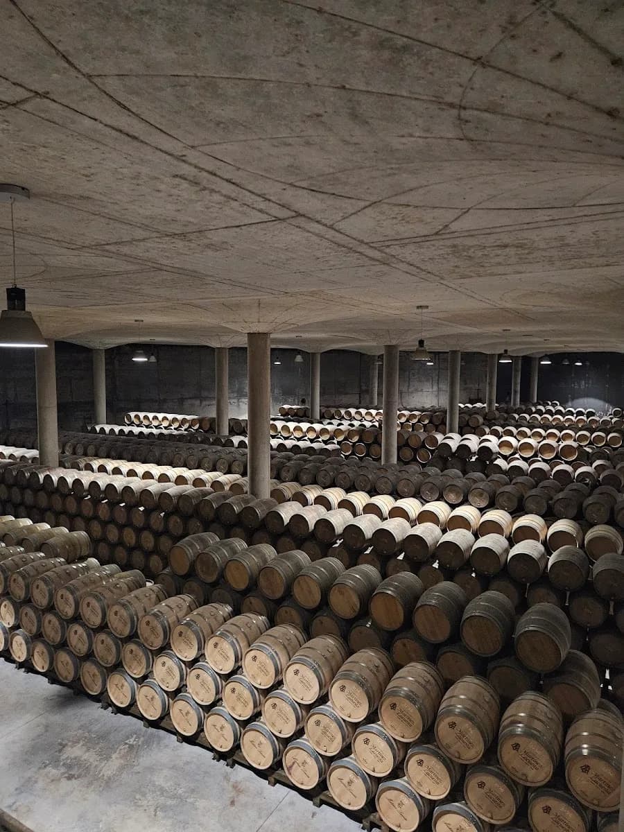 Bodegas Martinez Lacuesta La Rioja Haro 3