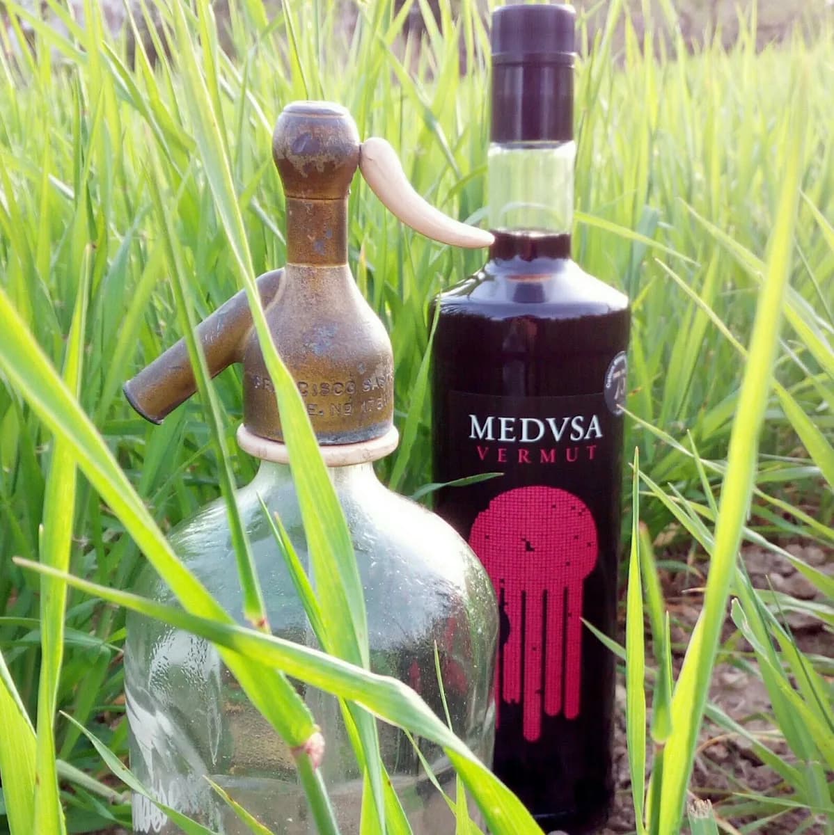 Vermut Medusa 1