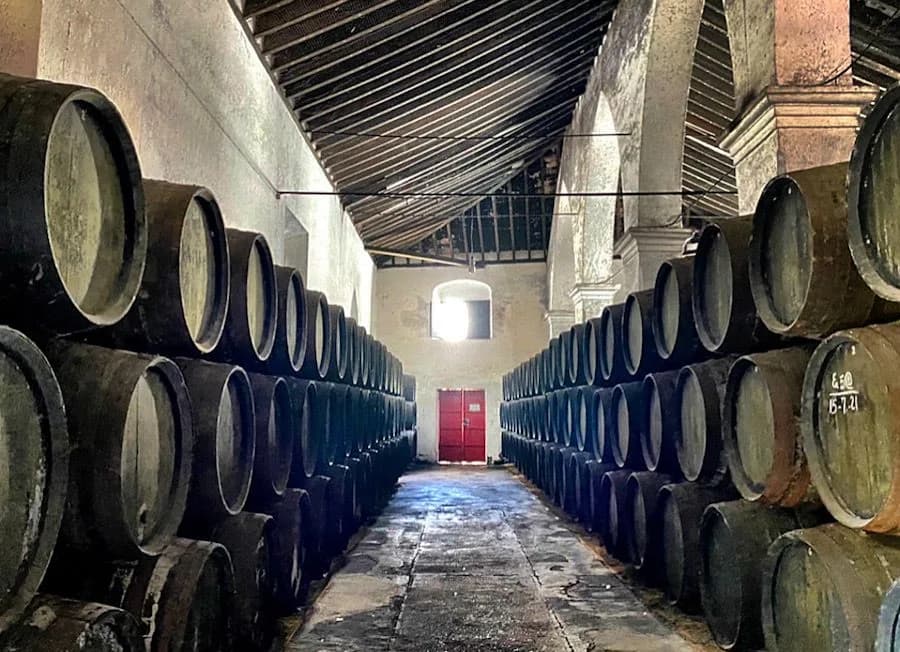 Bodegas Barbadillo 1