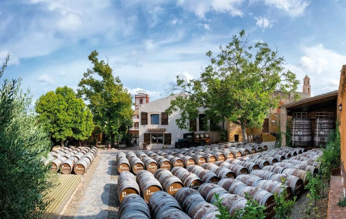 Vermouth Padró & Co., celler de vermut a Bràfim