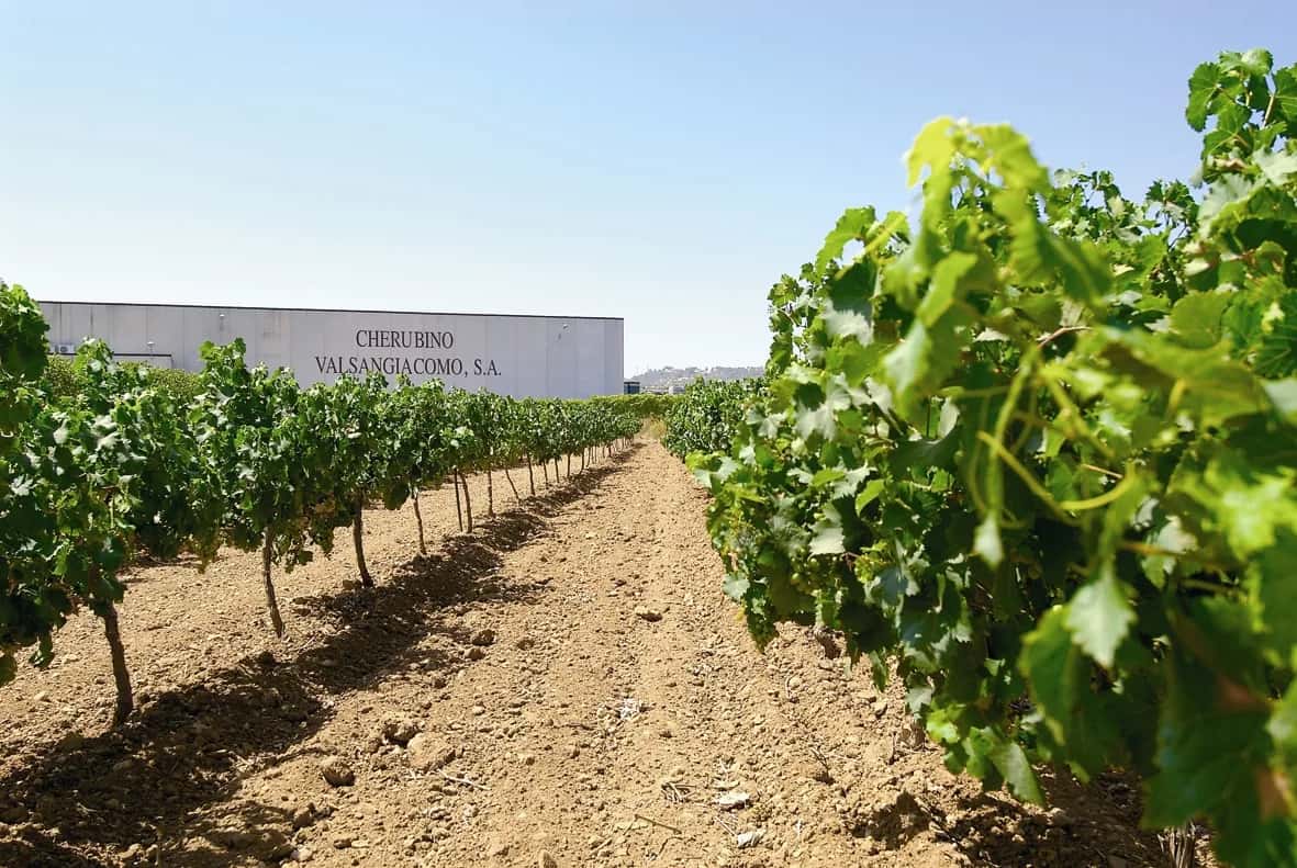 Cherubino Valsangiacomo S A, celler de vermut a