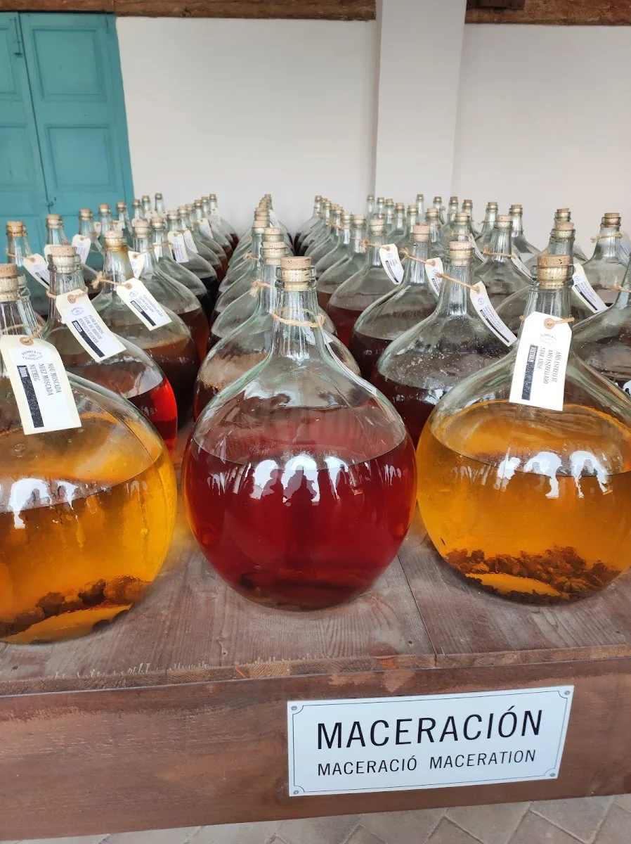 Vermouth Padró & Co. 2