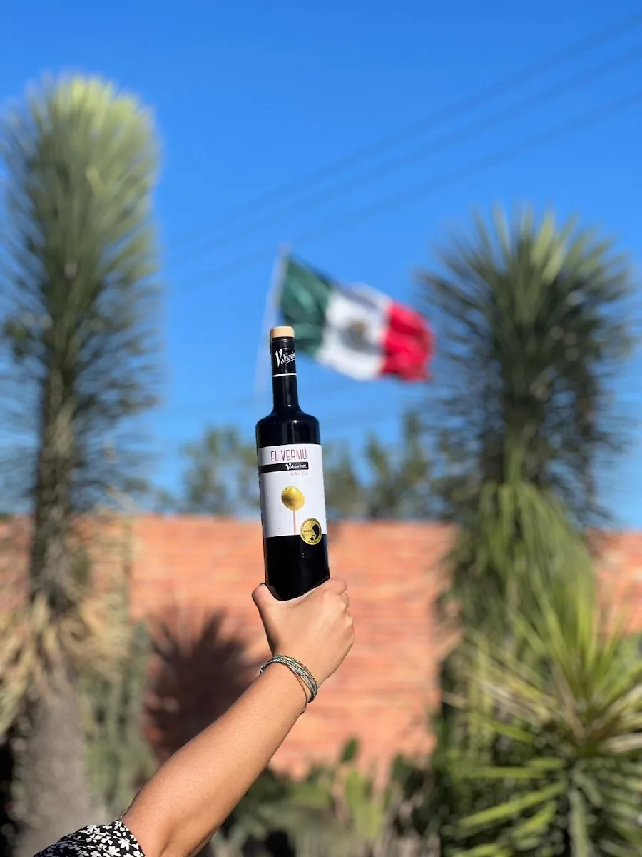 Bodegas Valdovinos S L 2