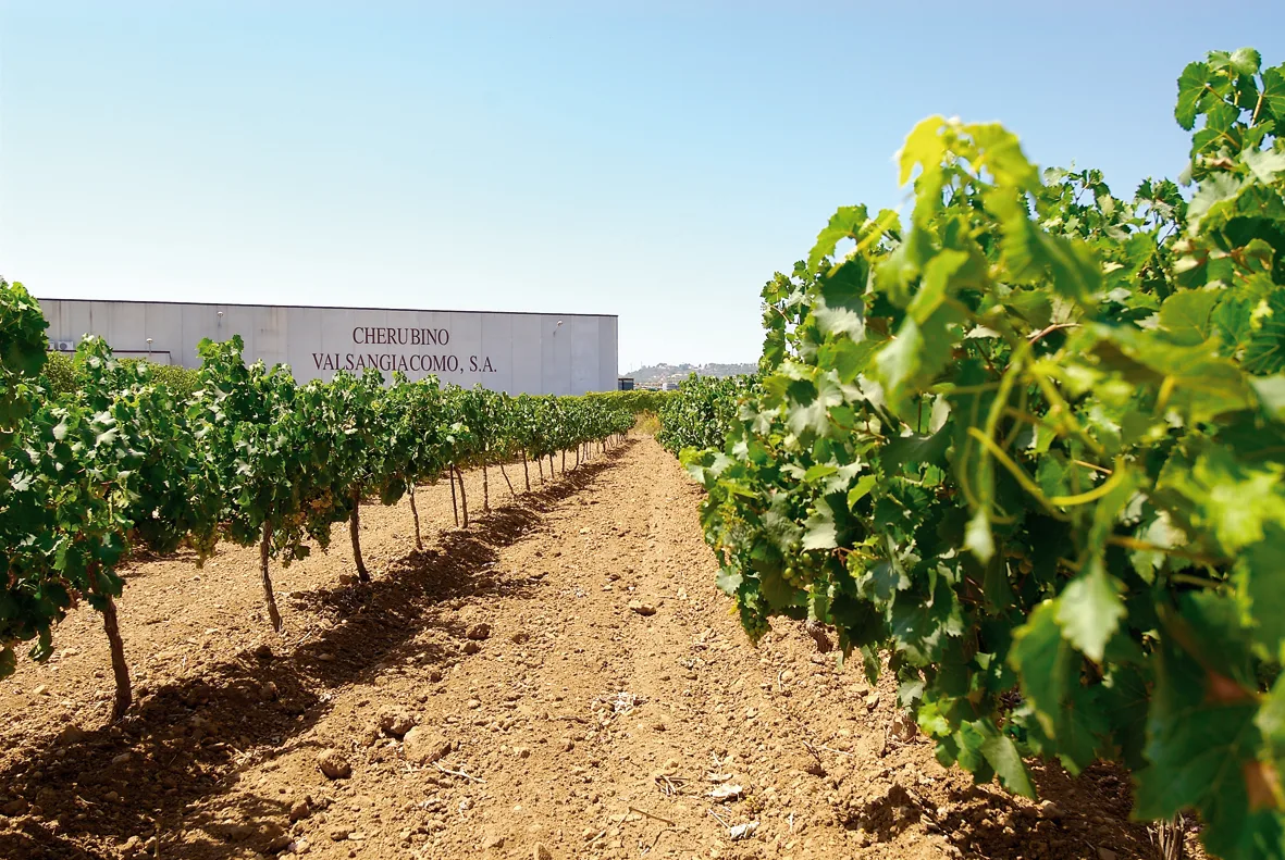 Cherubino Valsangiacomo S A 1