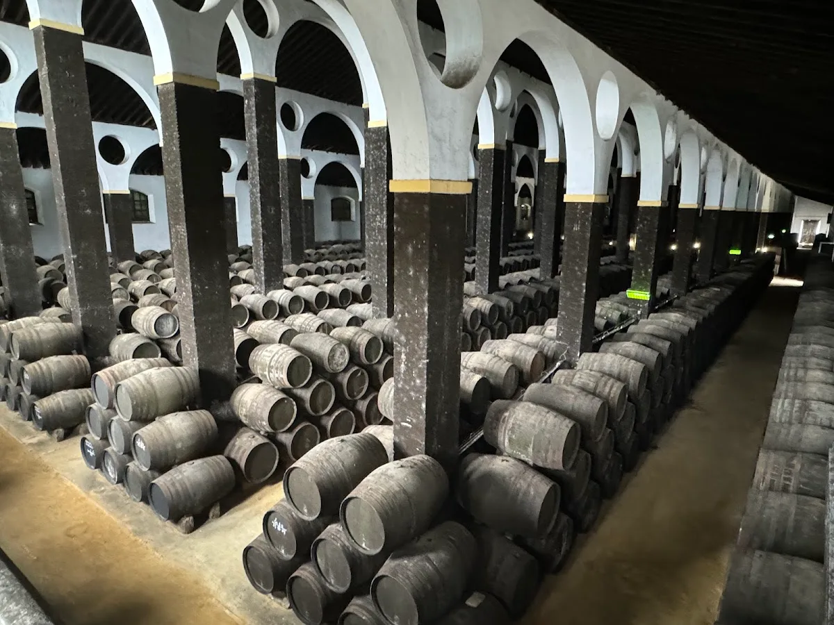 Bodegas Barbadillo 2